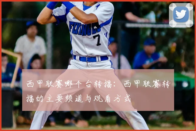 西甲联赛哪个台转播：西甲联赛转播的主要频道与观看方式