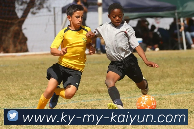 开云平台生态图